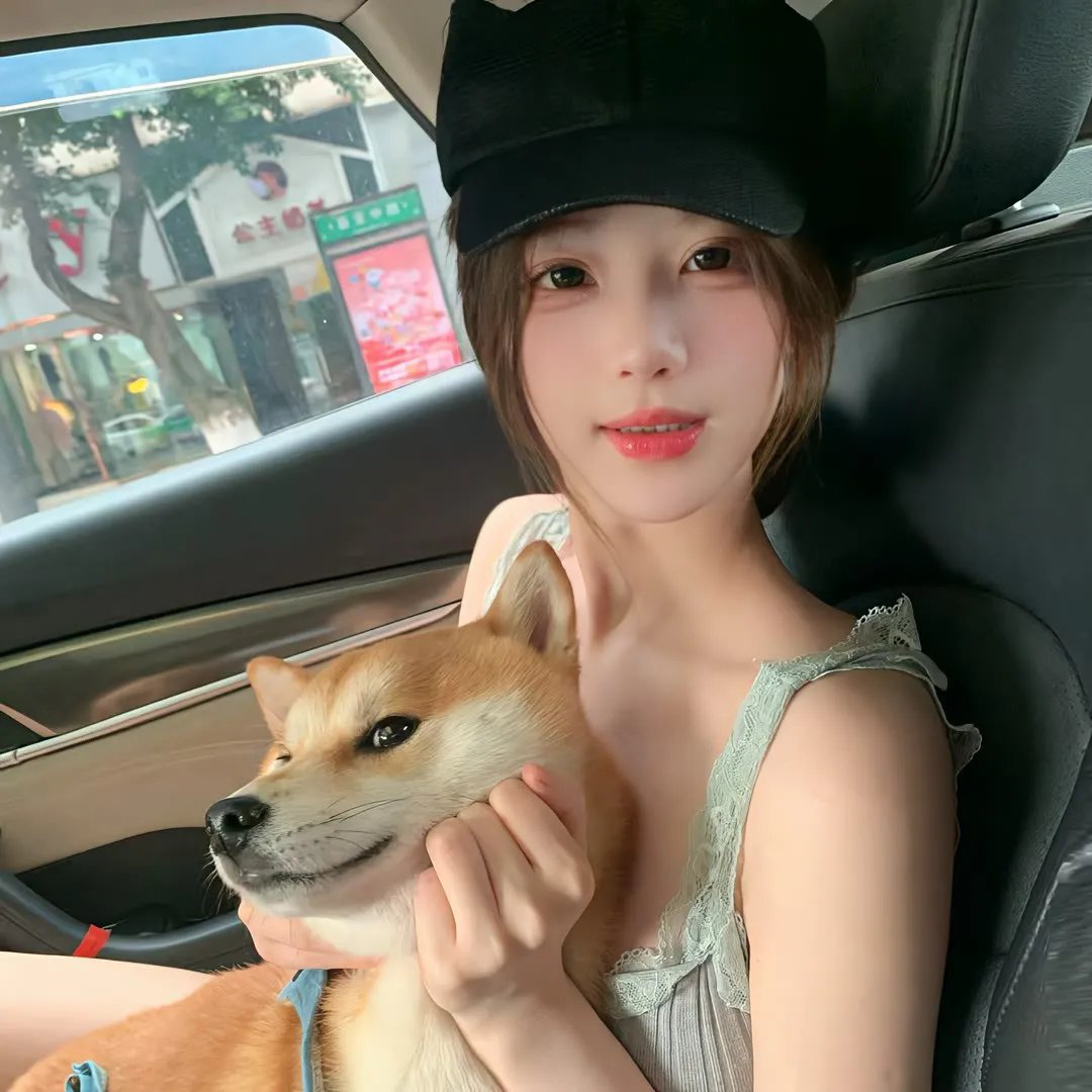 爱犬情深